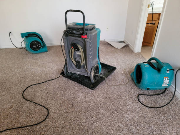 Best Residential water damage restoration  in Dover Plains, NY