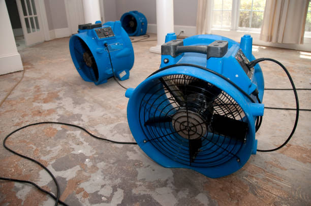Best 24-hour water damage restoration  in Dover Plains, NY