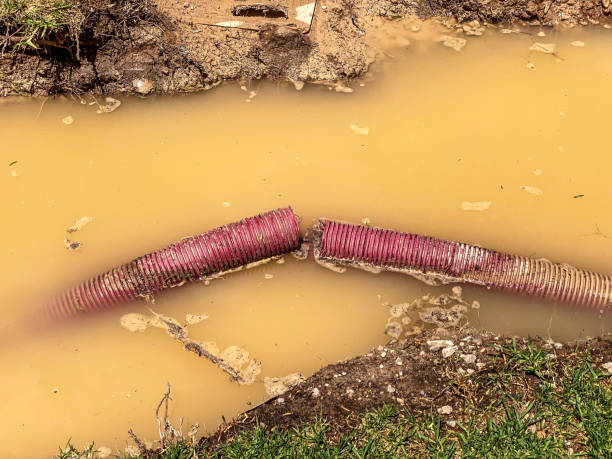 Water damage restoration mold remediation in Dover Plains, NY