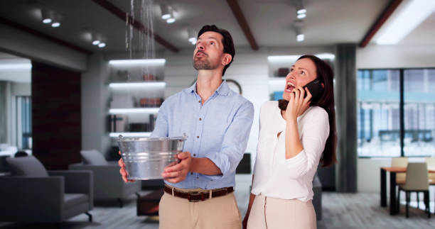 Best Water damage restoration insurance claims  in Dover Plains, NY